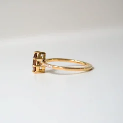 Anpé Atelier Customized Ring Med Brun Safir