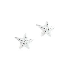 Aqua Dulce Astra Star Ørestikker Sølv - 5911