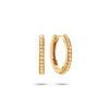 Carré Hoops Forgyldt 15mm - FH4302