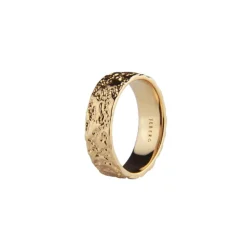 Jeberg Jewellery Mens Moon Band Ring I Forgyldt Sølv