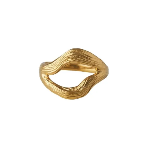 Pernille Corydon Flowing Dreams Ring I Forgyldt Sølv
