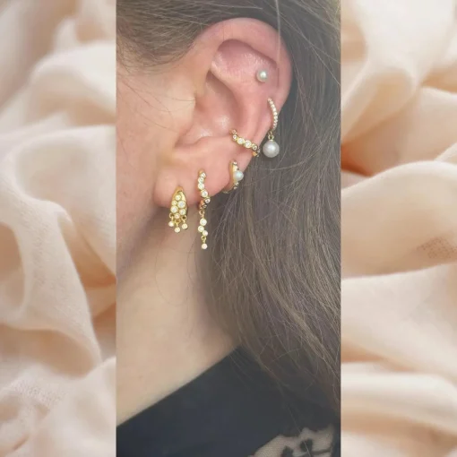 The Earring Shop Sirona Huggie